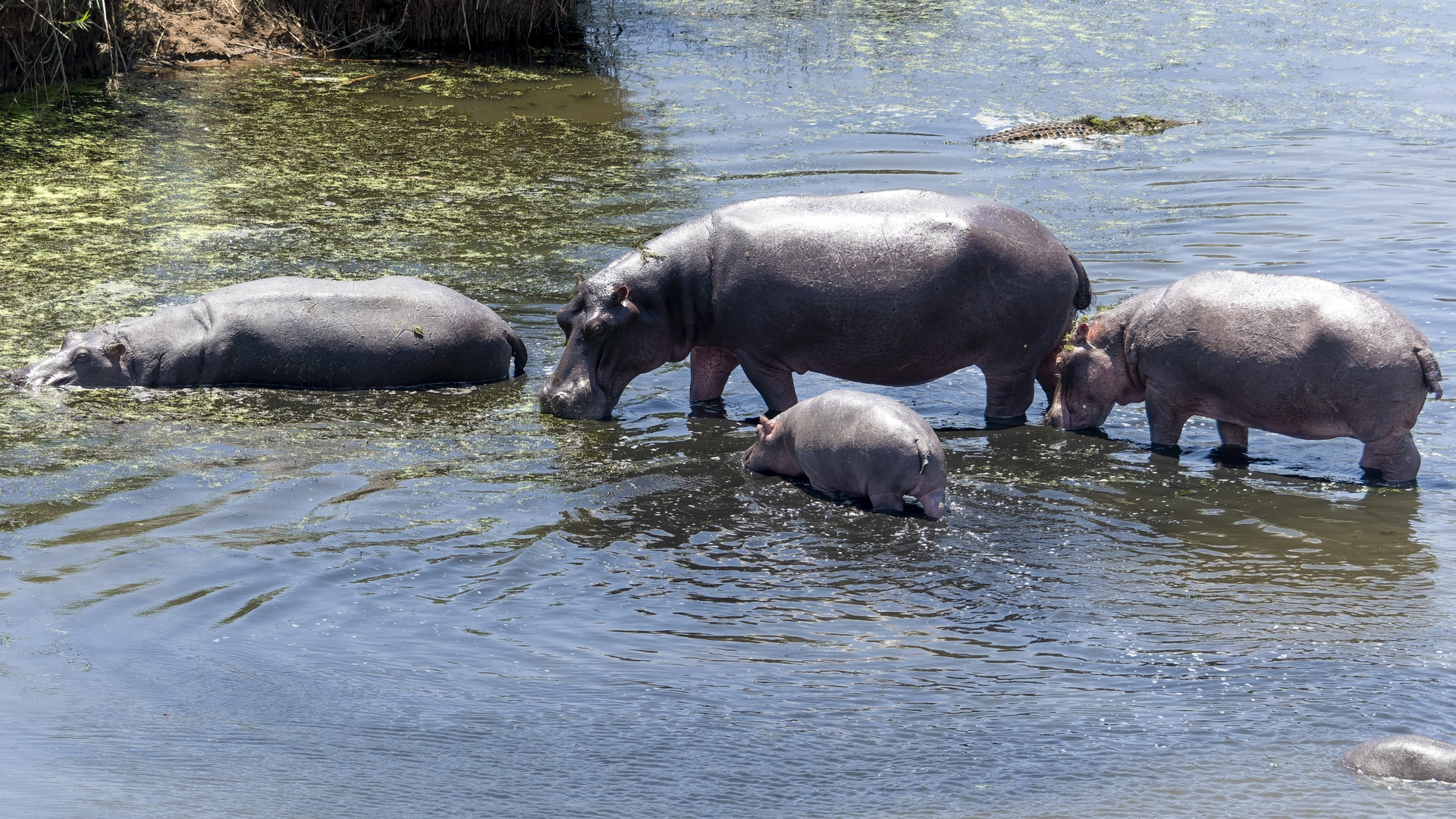 Kruger25 2025 11 01 10 50 03 ILCE 1M2 2719_DxO
